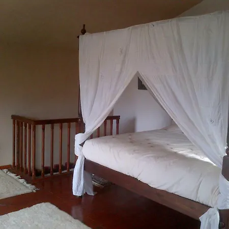 Country house Finca La Alejandria Fasnia